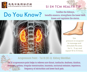 Acupressure Point - Tai Xi Kidney Meridian