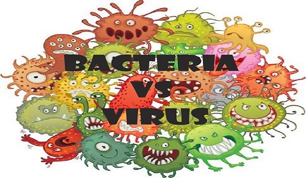 Si En TCM Bacteria & Virus